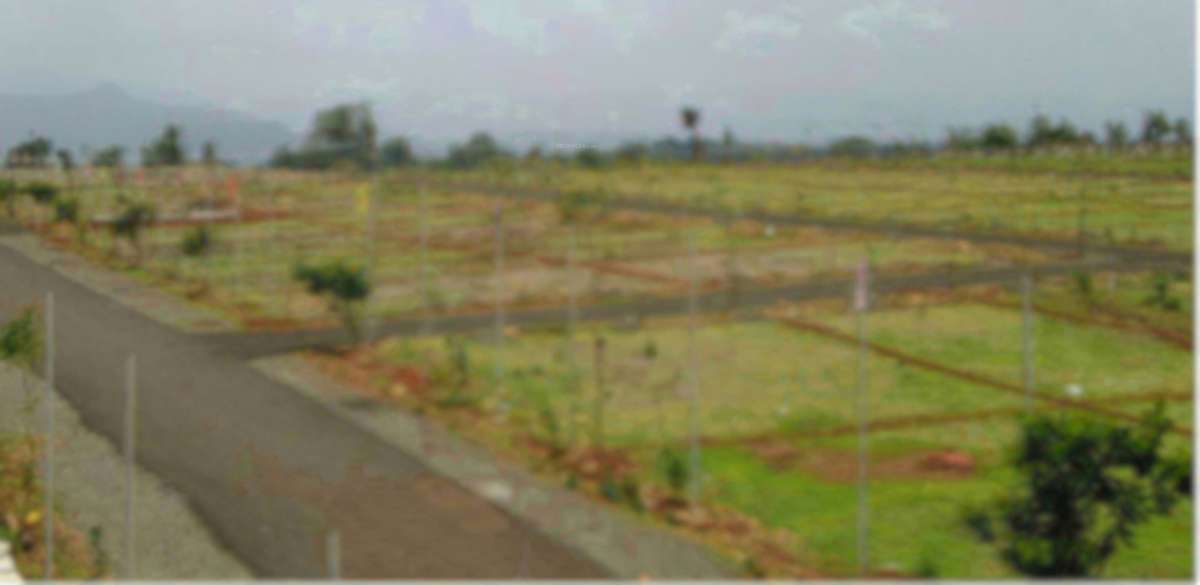 Images for Project