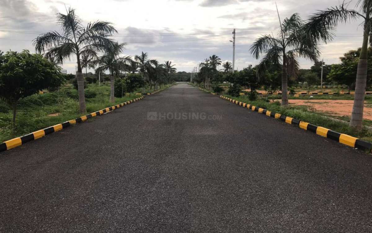  garden-of-eden-x Internal Roads