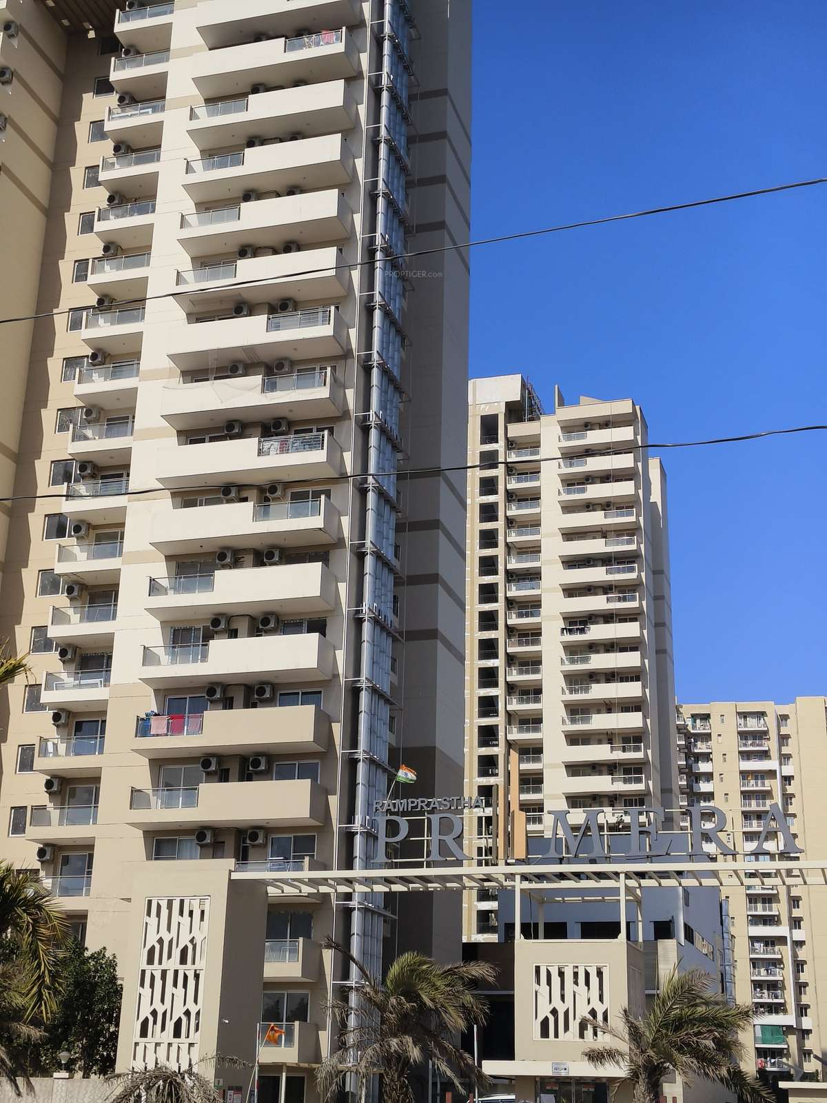  primera Elevation