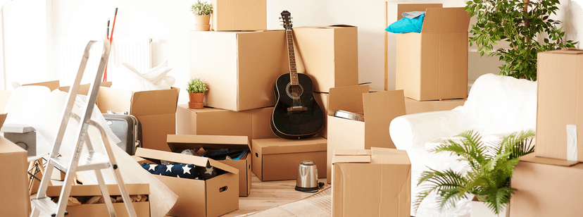 Home Relocation