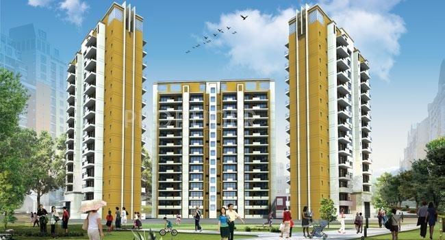  gracieux Images for Elevation of Corona Gracieux