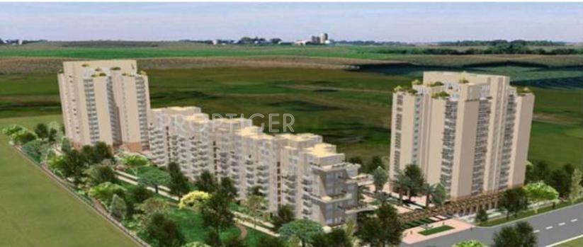  aloha Images for Elevation of Aez Aloha