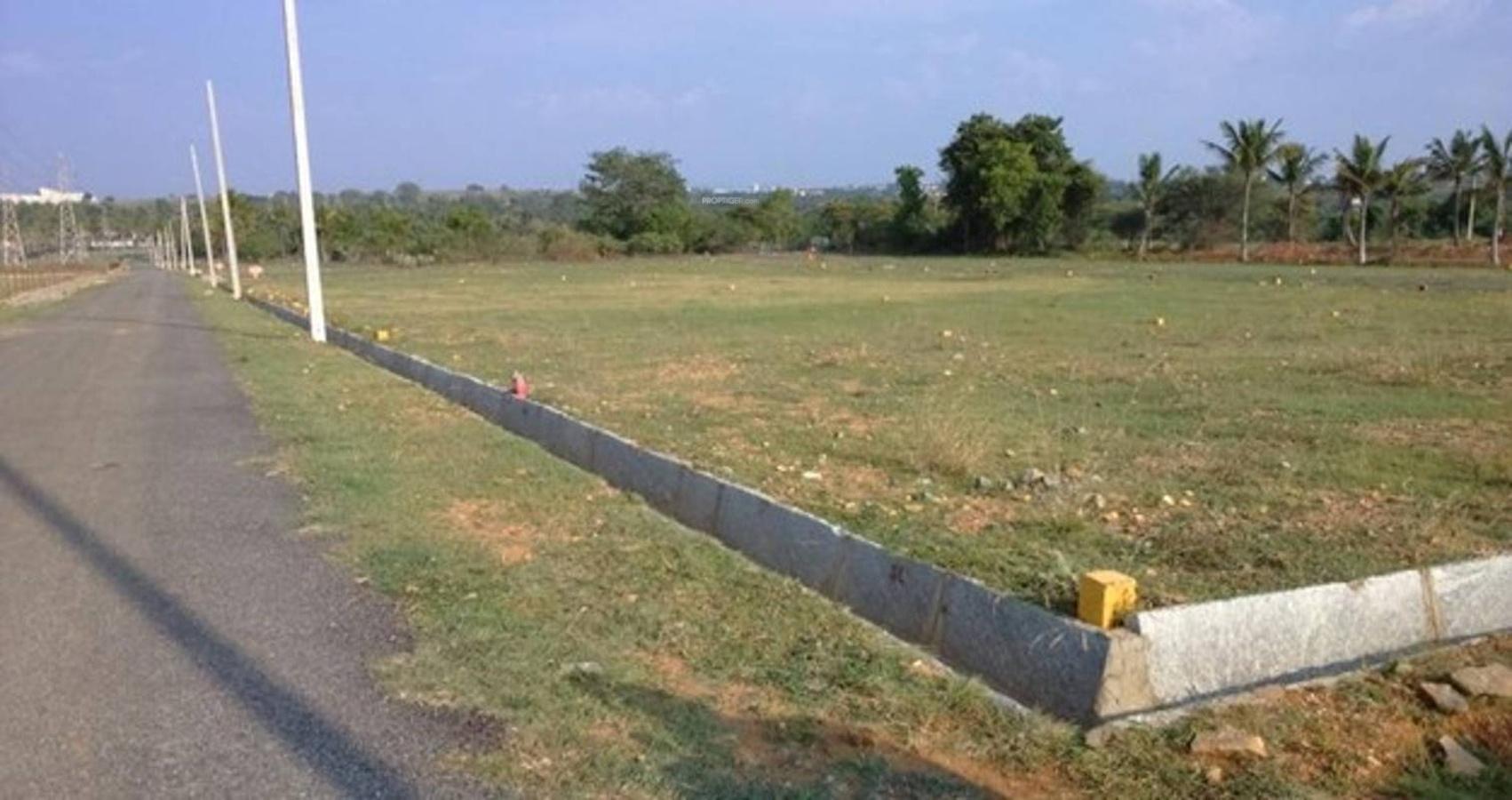 Mango Grove II