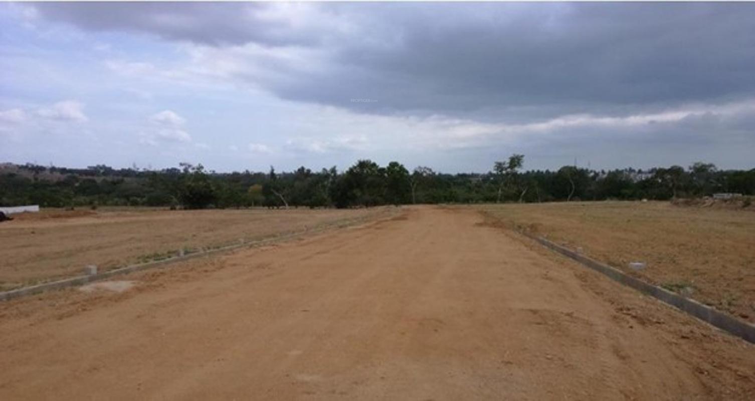 Images for Main Other of Bhoomika Mango Grove II