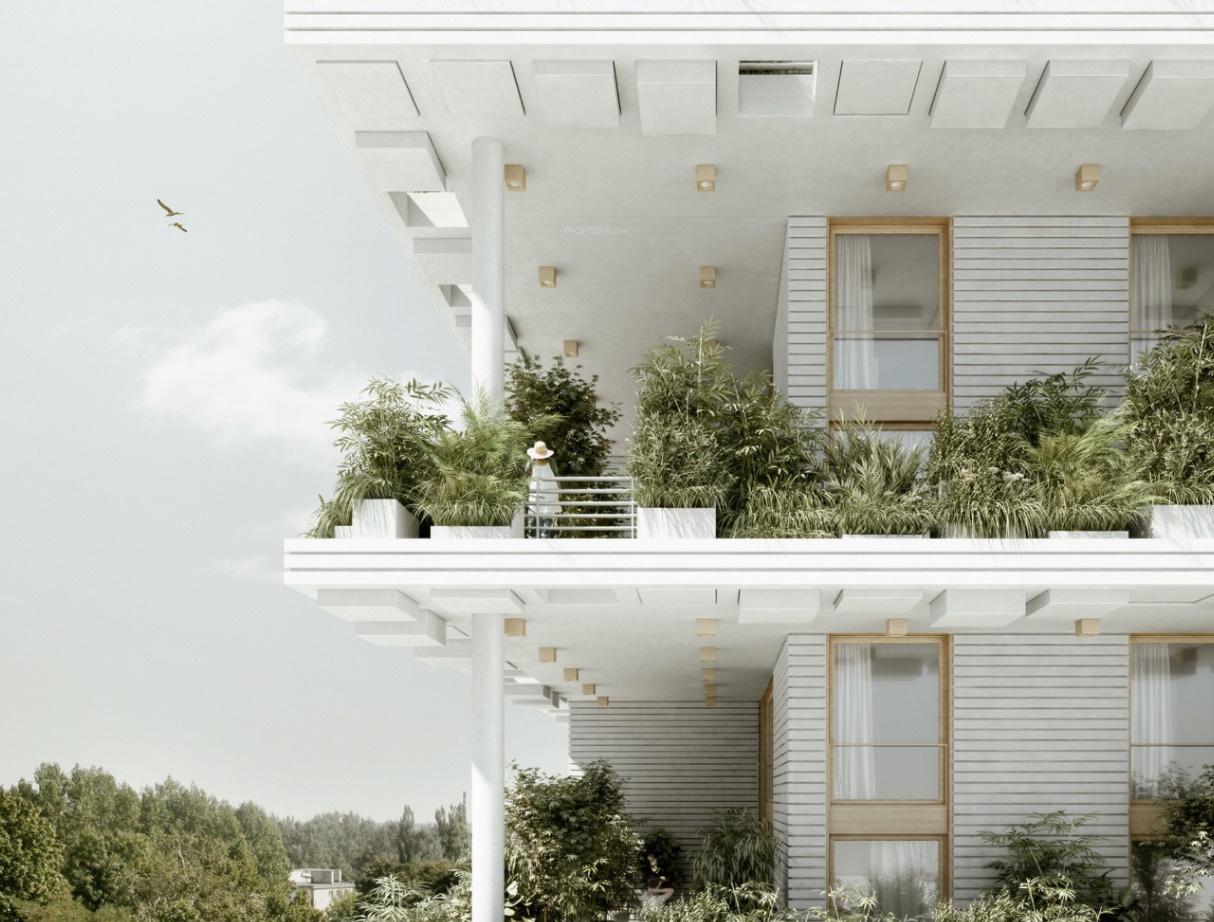  magic-breeze Elevation