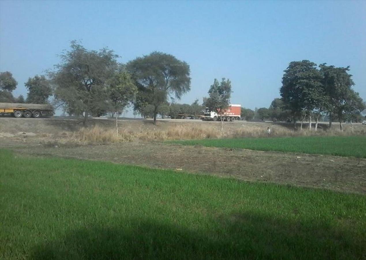 Images for Elevation of Shine City Arise Velvet