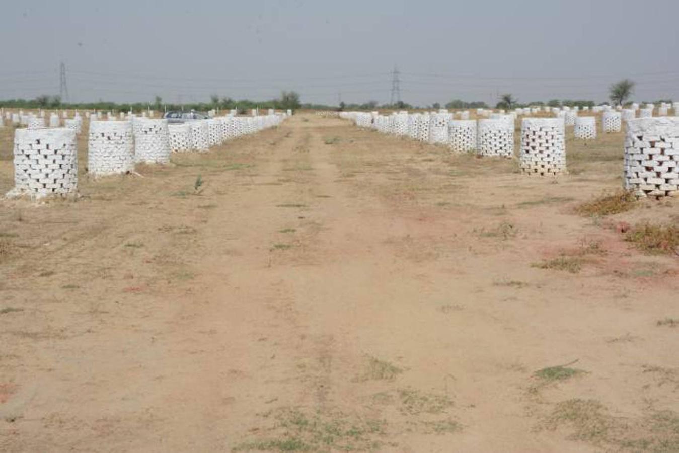 Smart Meadows