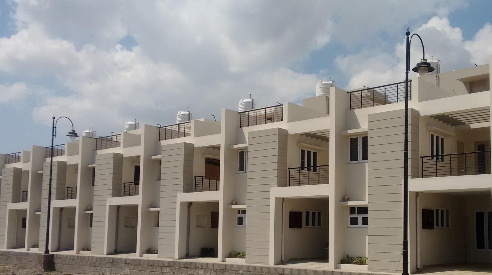  gardenia Elevation
