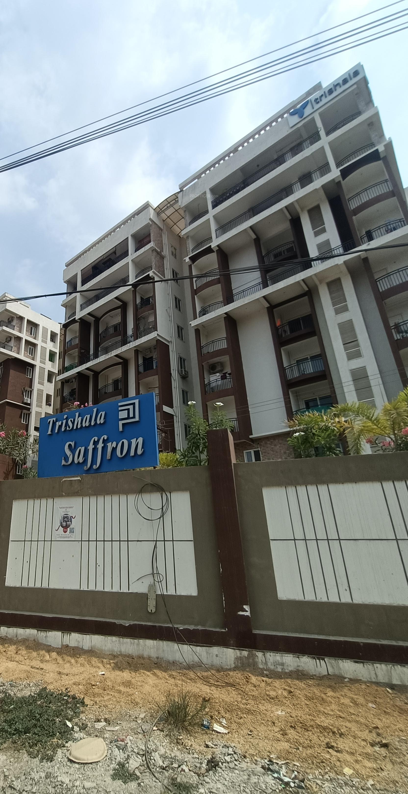 Saffron Sanathan