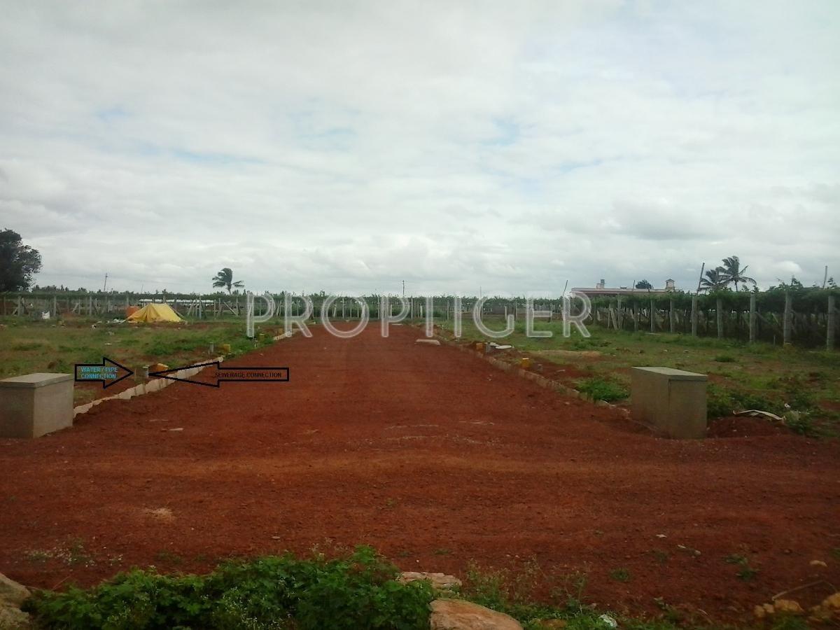 Alisha Projects Defence Enclave