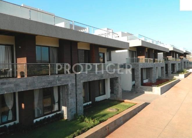 Images for Elevation of Disha Direct Purple Seasons