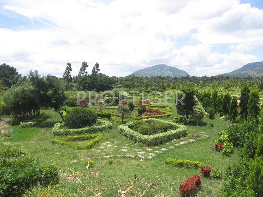 Images for Elevation of Regency Canterbury Castles
