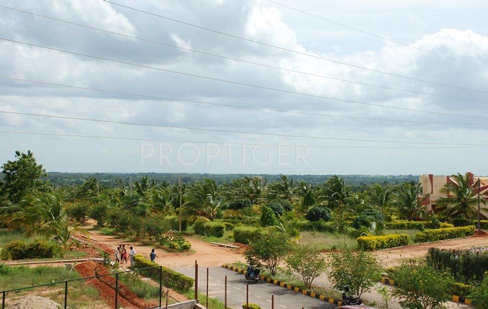 Images for Elevation of Regency Canterbury Castles