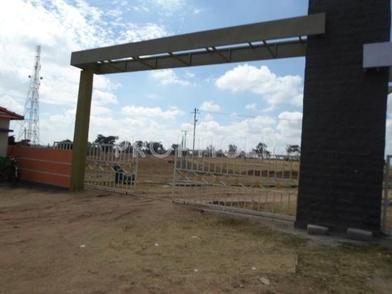 Sancity Rachana
