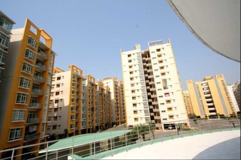 Raintree Park Phase 1
