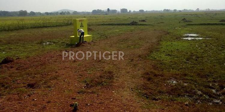 Land Project