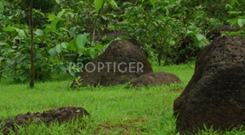 Images for Elevation of Veracity Vacation Valley