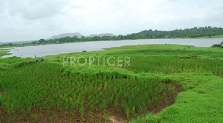 Images for Elevation of Veracity Vacation Valley