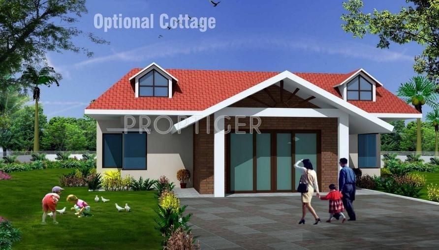 Organic Retreat