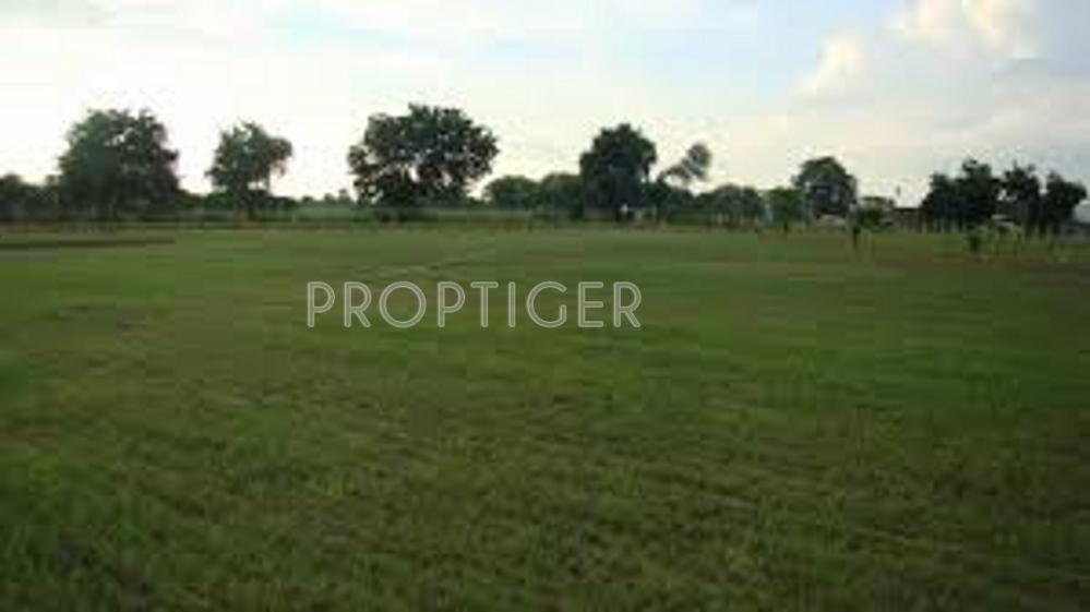 RPG Sri Ramanar Nagar