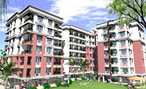 Greenwood Premium