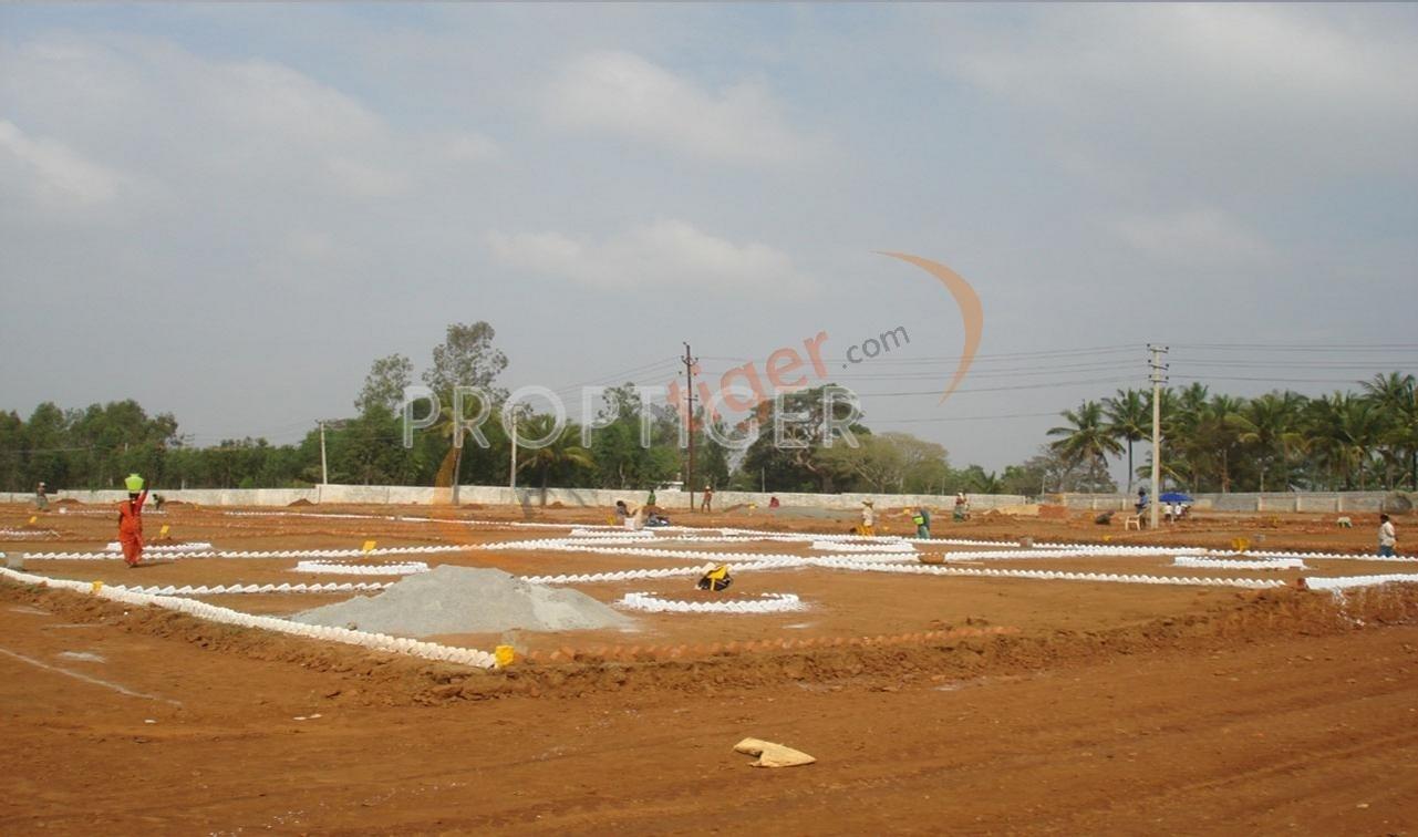 Greens Plots