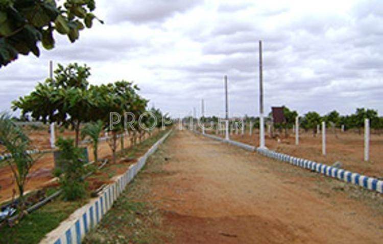 Rich Field