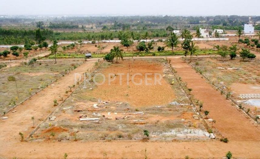 Arpan Complex