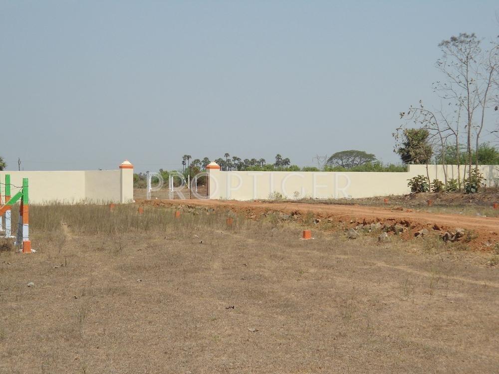 Garden 2