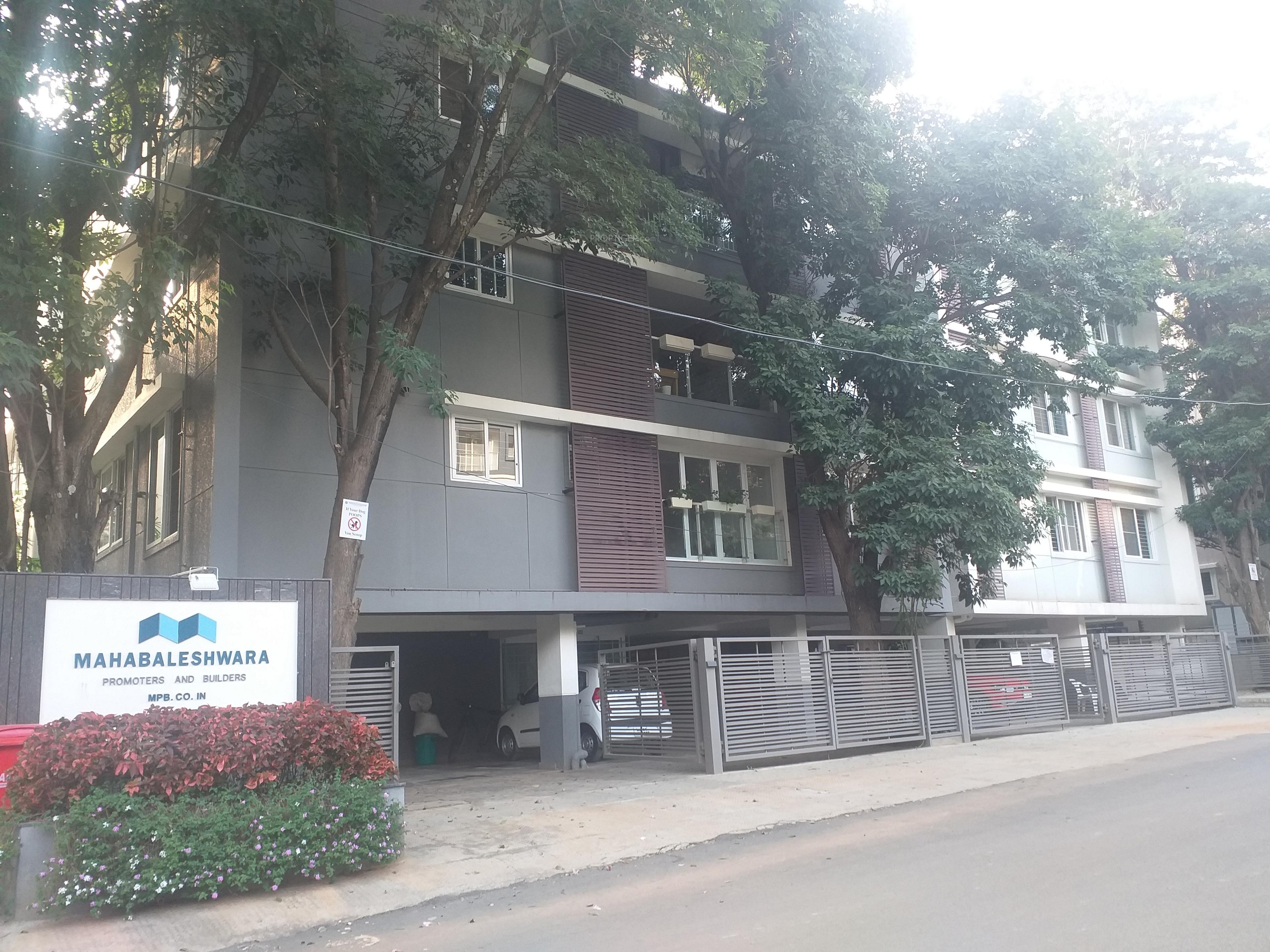  classique-ebony Elevation