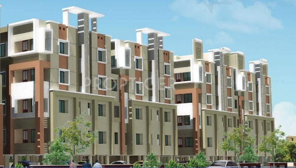 Sonsy Engineers Regal Dove