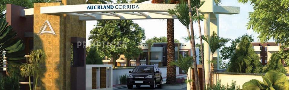 Auckland Corrida