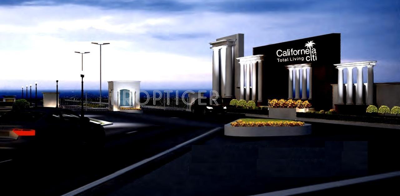 Californea Citi
