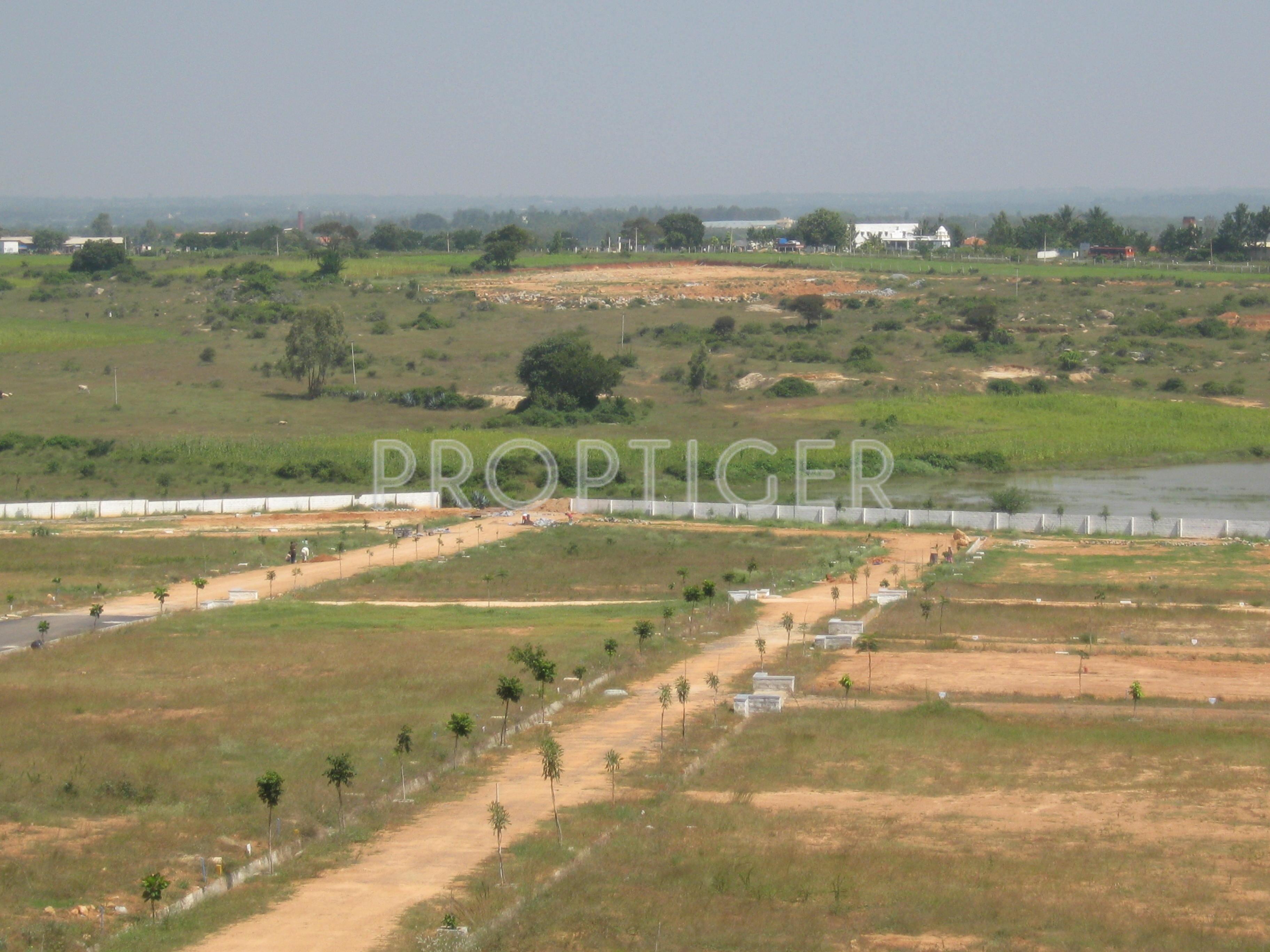 Sunfield Plots
