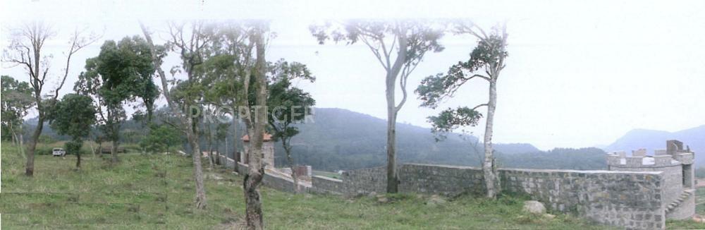 Summit