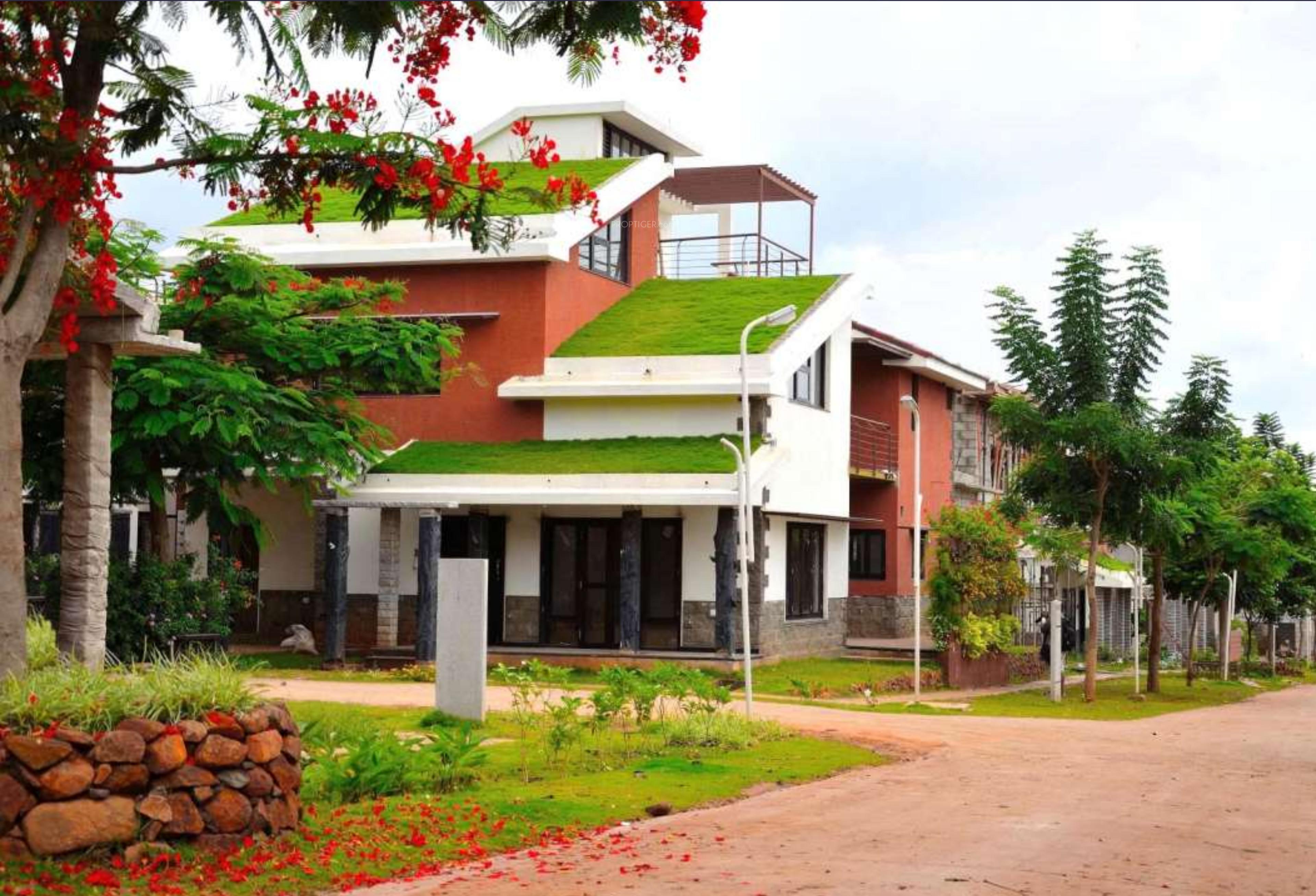 Images for Elevation of ZED Rainforest