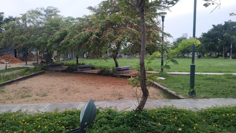  green-wood-city Others