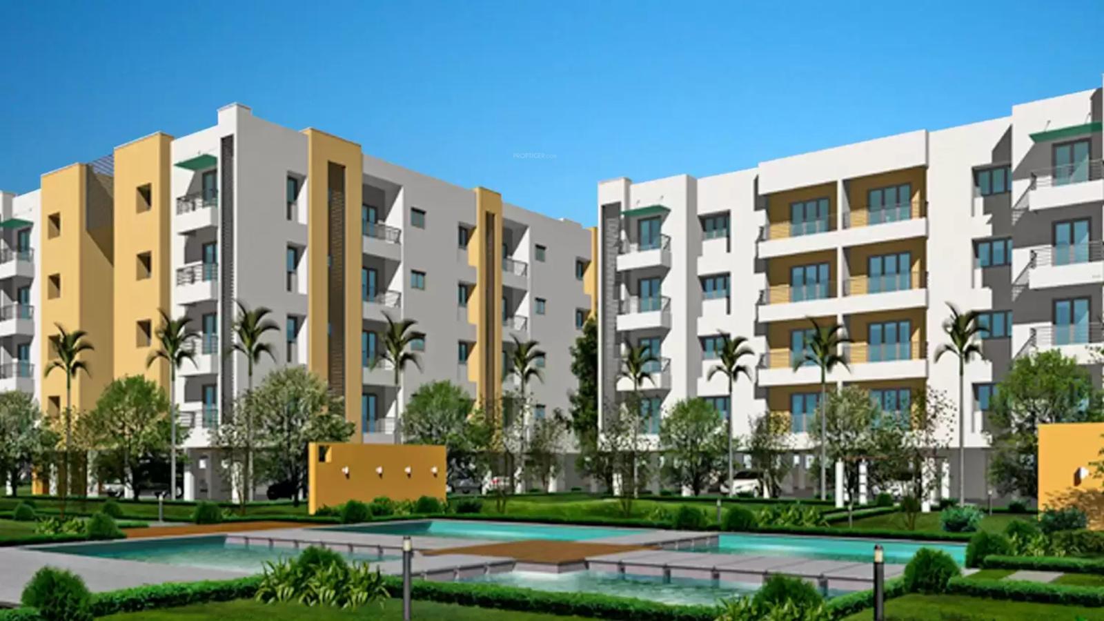 Palm N Meadows