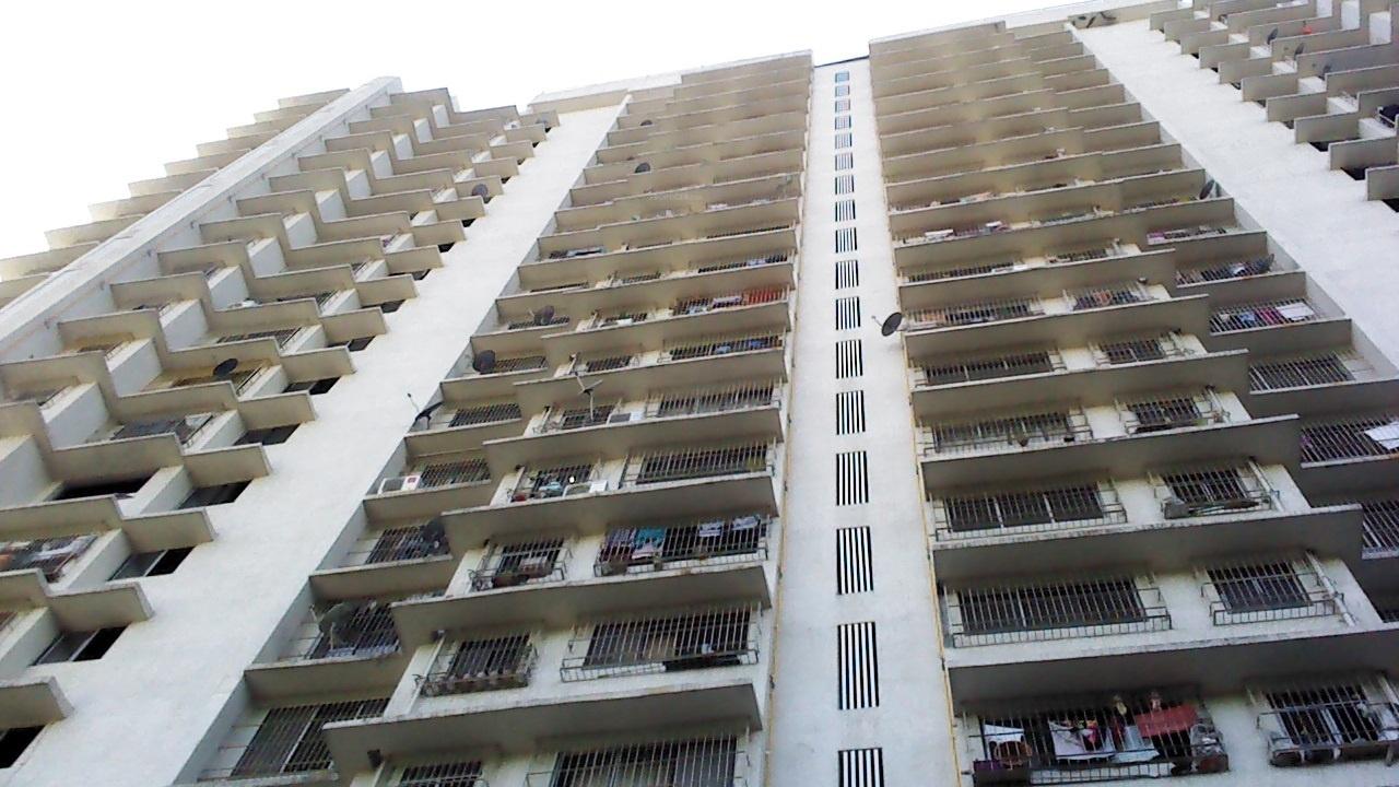  sparkle-wing-c Elevation