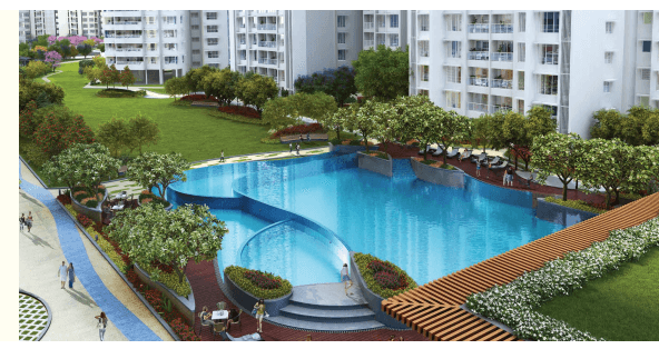  emerald-isle-t7 Others