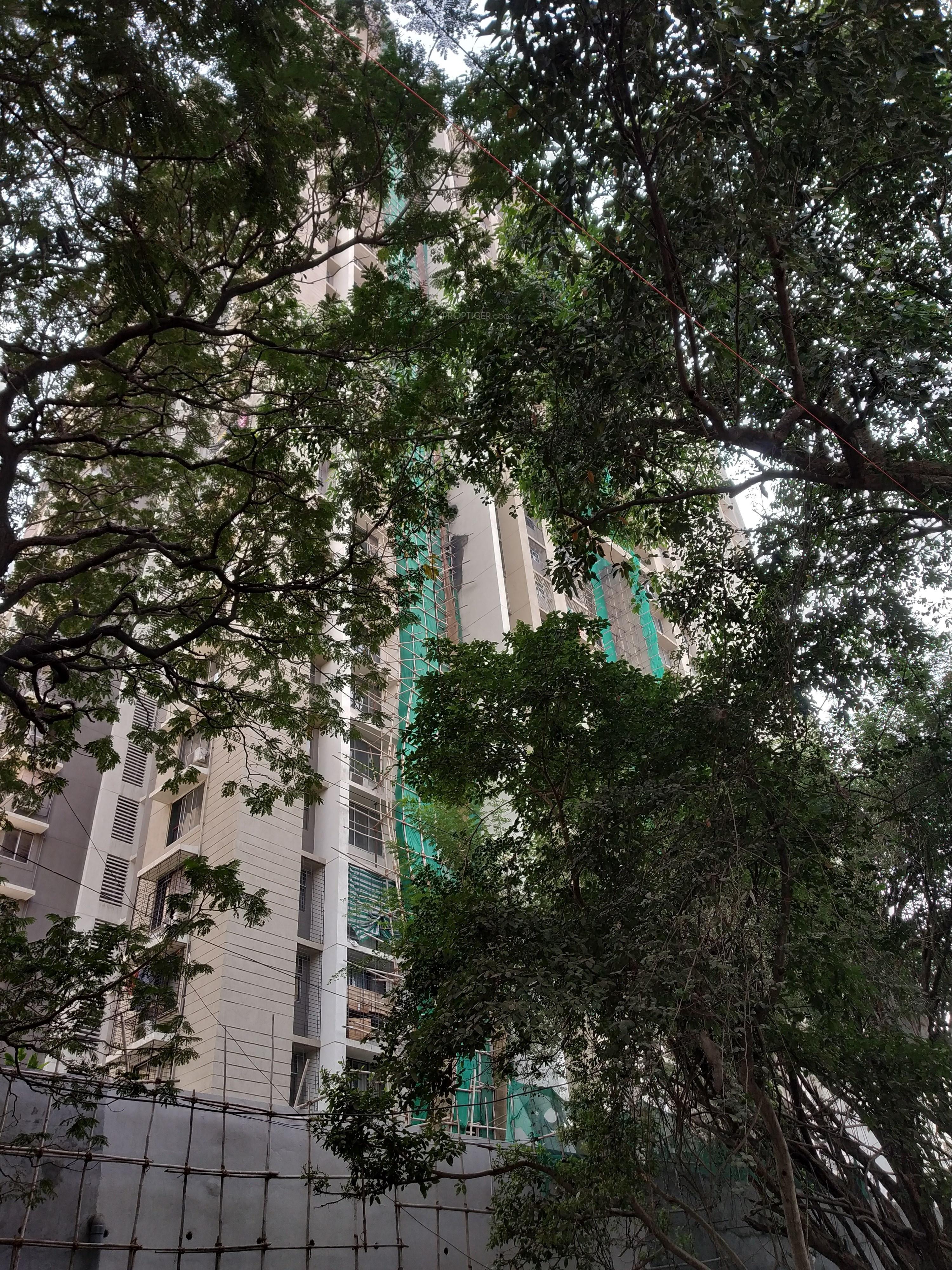 Flying Kites A Wing Right Wing