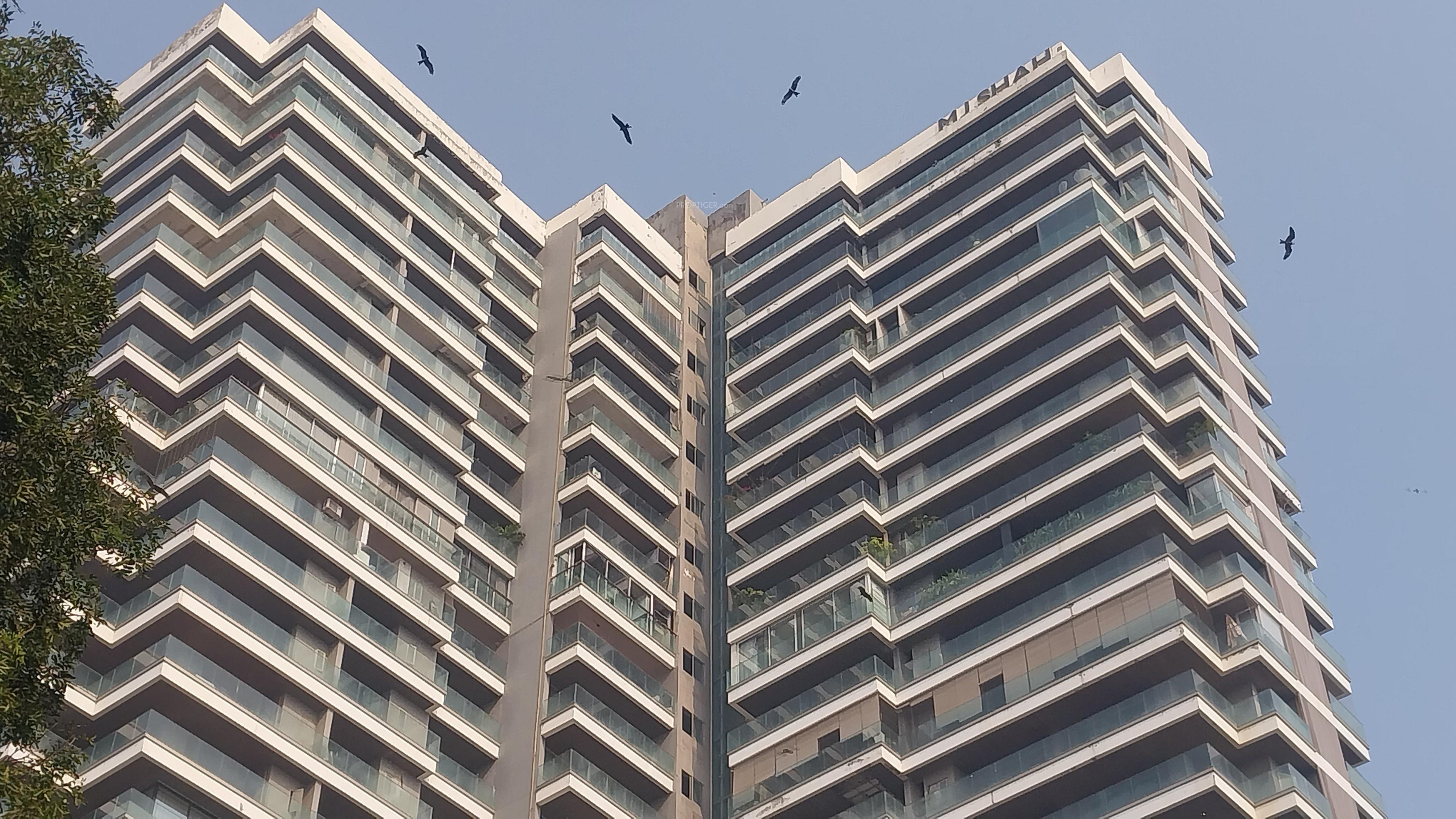  81-aureate Elevation