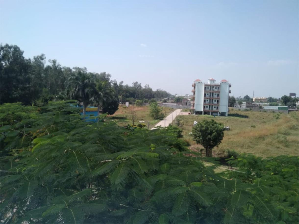 11th Mile Garden City