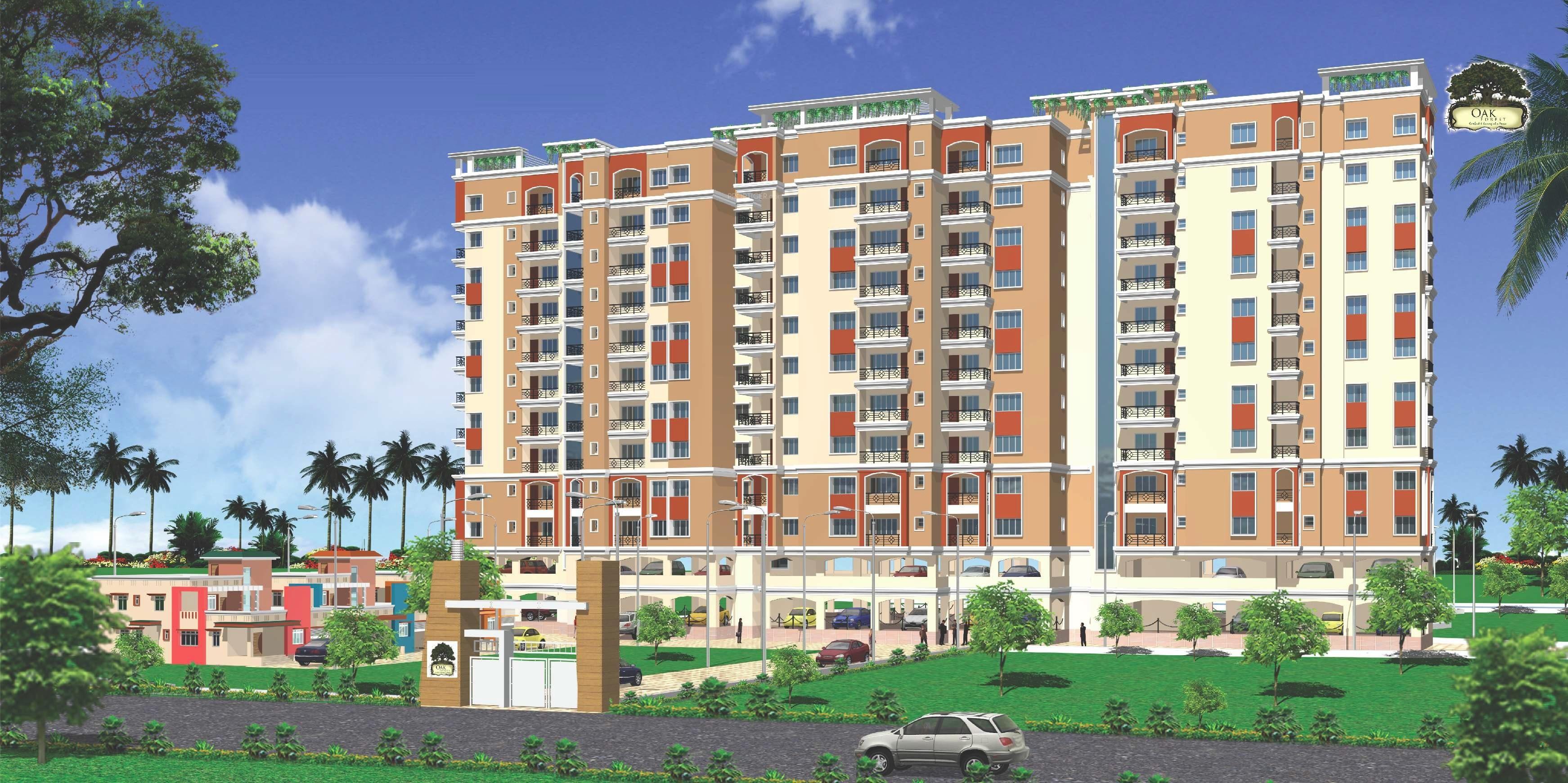  construction-oak-forest Elevation