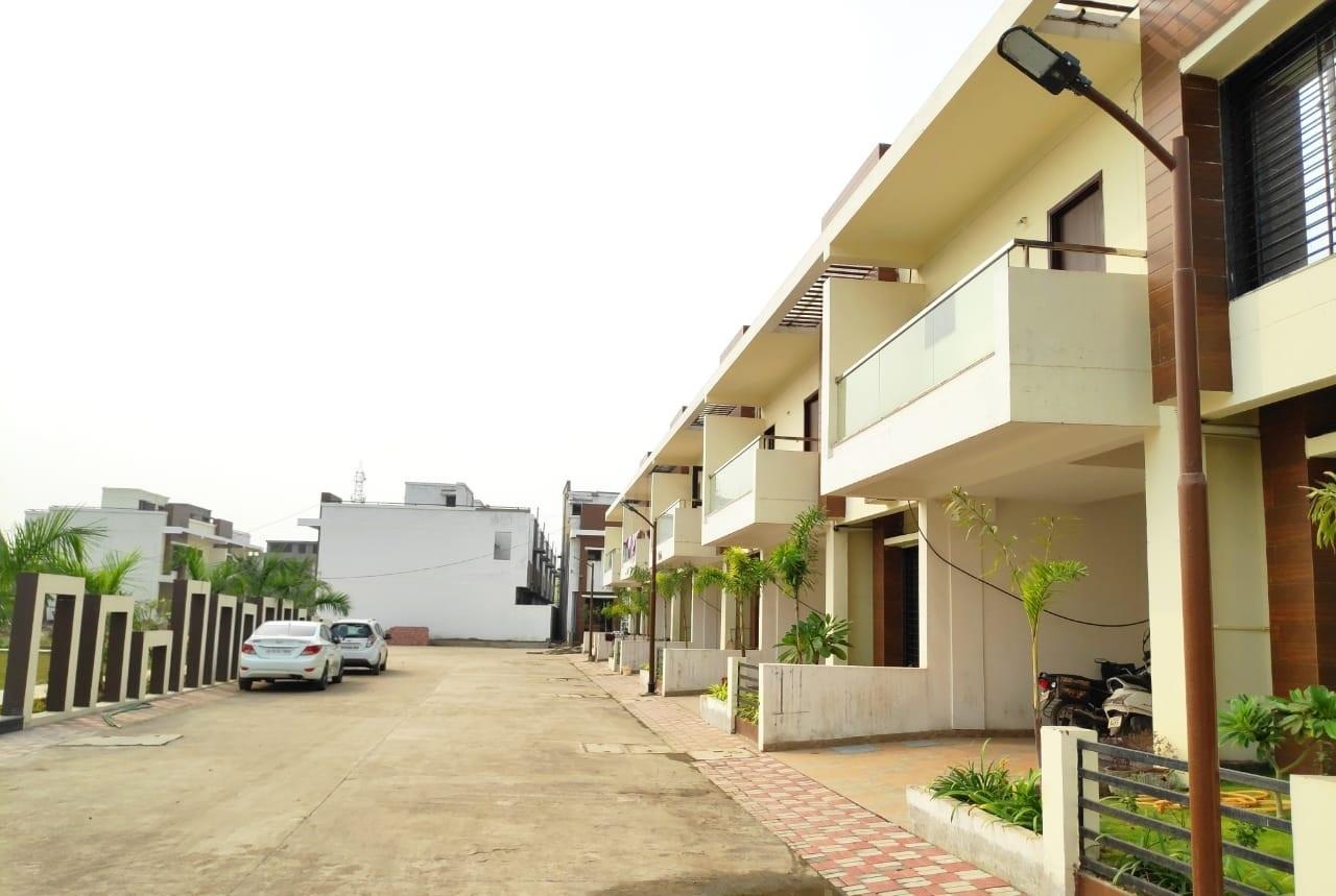 Ashoka Ikon