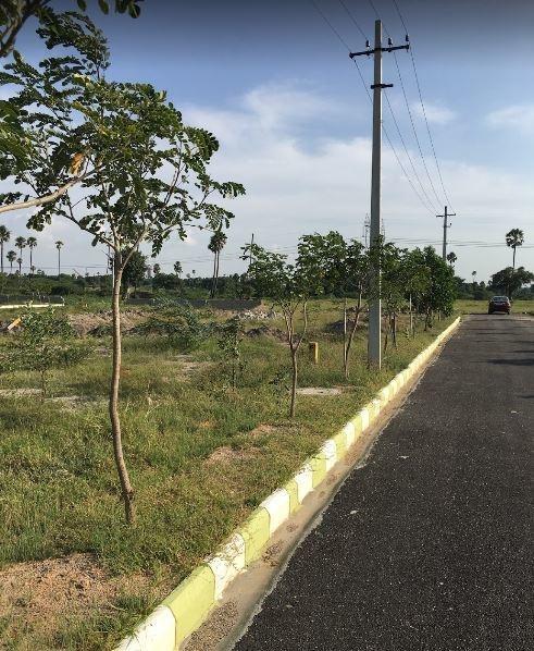 Premium Park