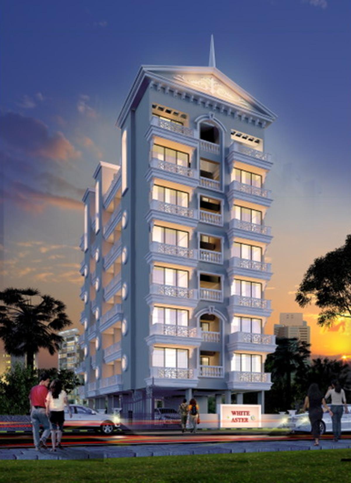 Images for Elevation of SPS White Aster