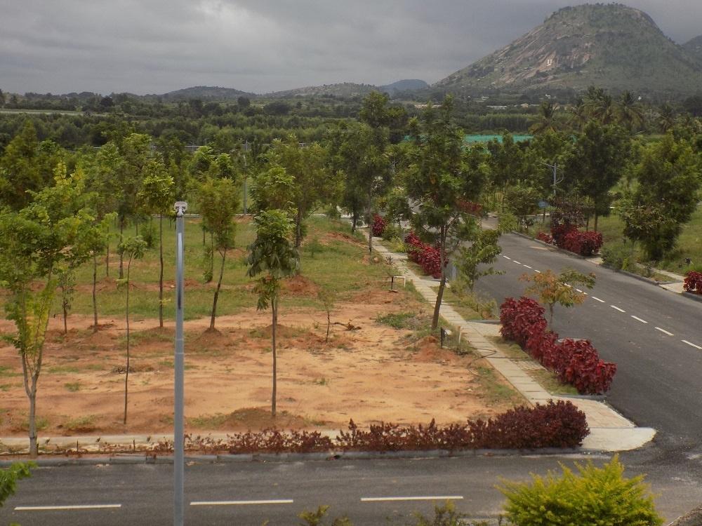 Hill Crest Phase 1