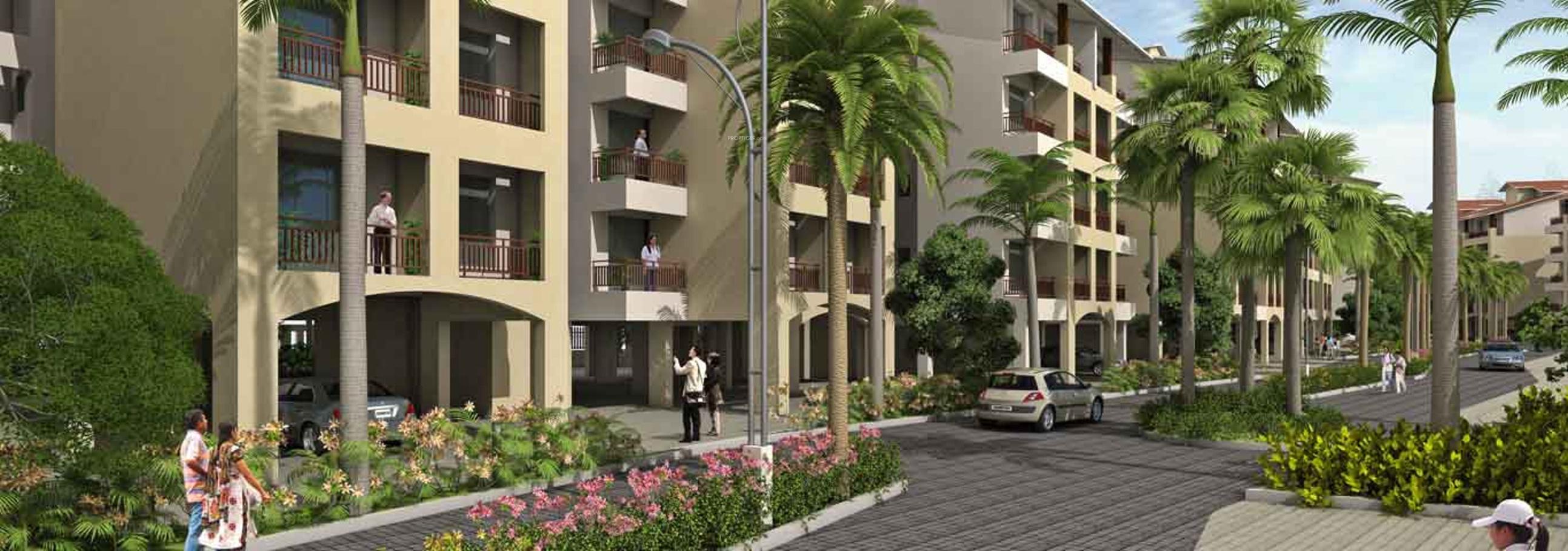 Images for Elevation of Mark Nautilus Lavender