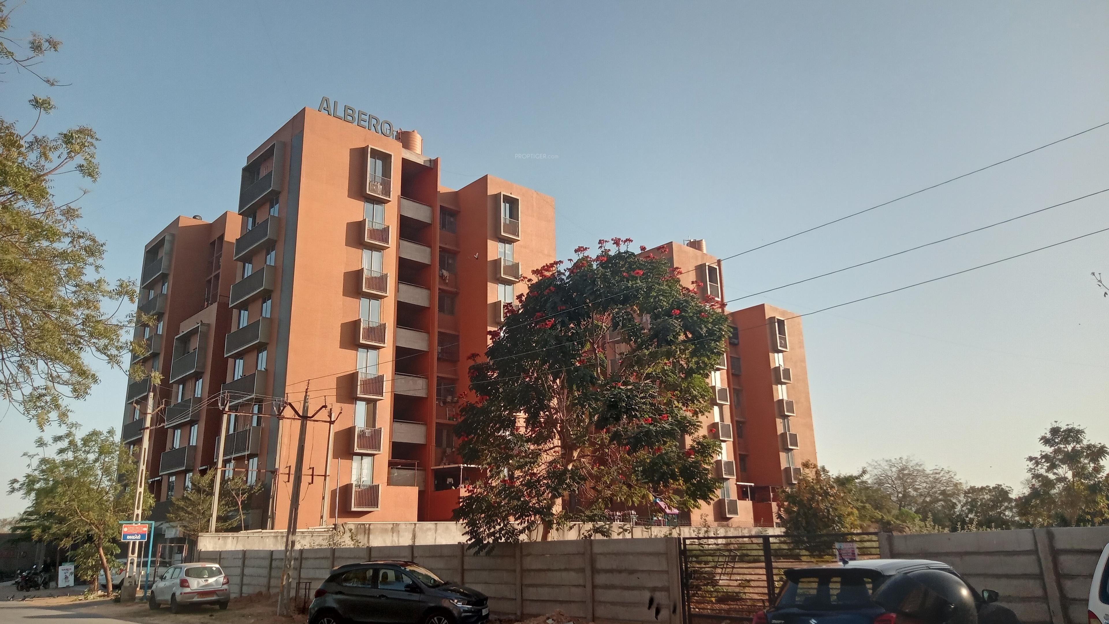  albero Elevation